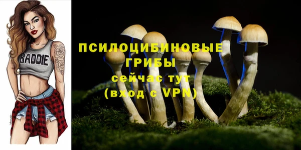 Альфа ПВП Володарск
